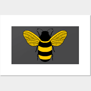 ORANGE AND BLACK BUMBLE BEE Posters and Art